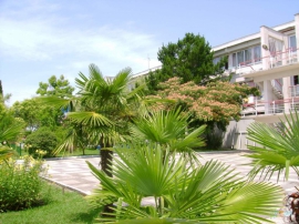 territoriya_20130204.jpg